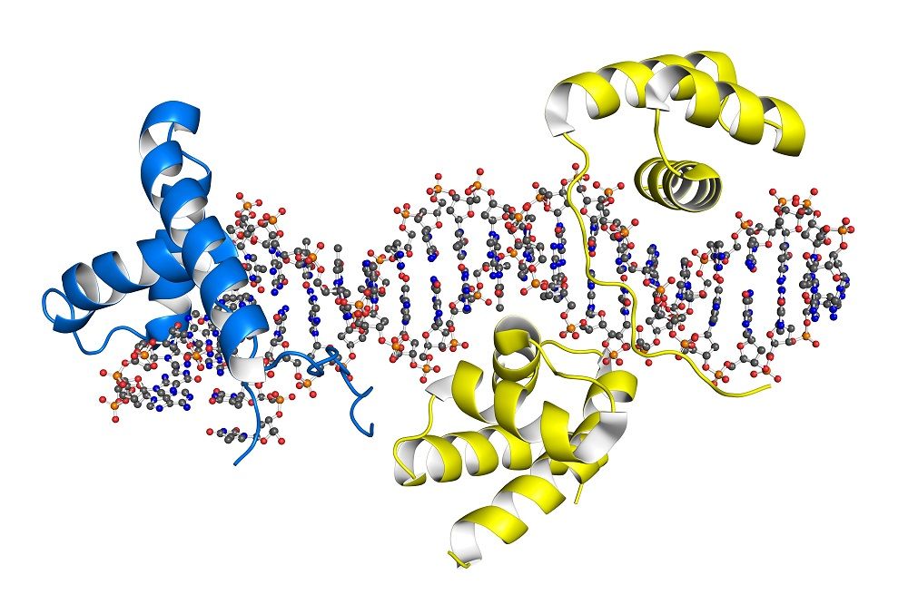 Peptide-Biomolecule Interaction Identification Services