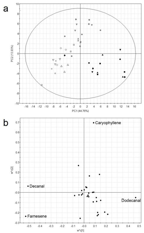 PLS-DA model obtained from the classification of P. minus samples based on volatile compounds according to the temperature treatments