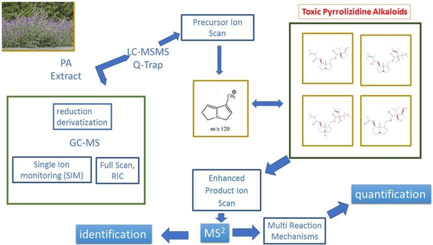 Alkaloid Analysis Service