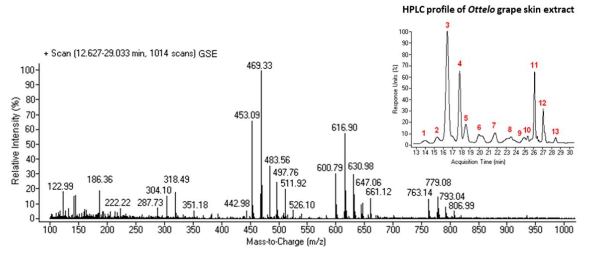 The total ESI/MS positive—ion mode analysis and HPLC profile of Othello grape skin extract.
