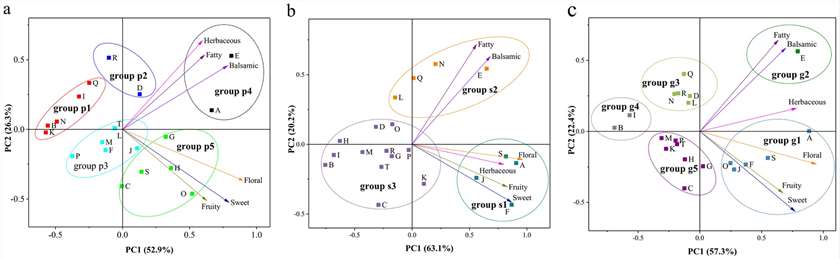 Biplots (score plots combined with loading plots) of principal component analysis (PCA) results based on the six aromatic series obtained from table grapes.