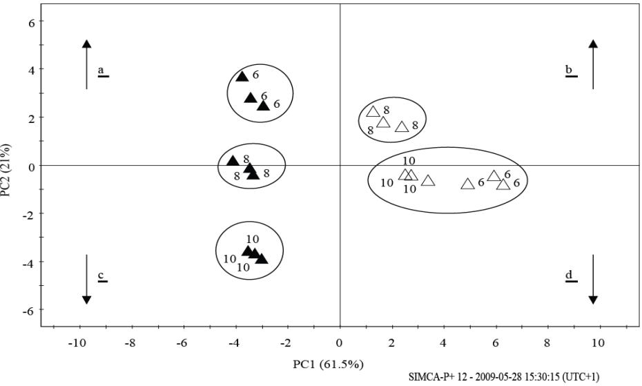 Score plot of PCA for Brassica rapa (var. Raapstelen) and Raphanus sativus (radish) roots (B), based on whole range of 1 HNMR signals