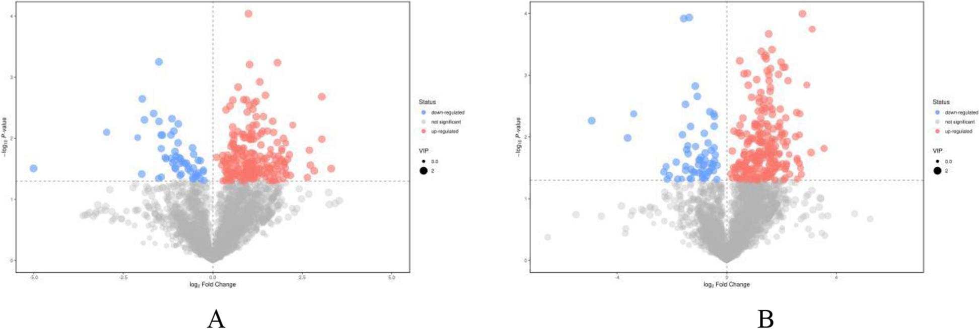 The volcano plots of positive (a) and negative (b) modes based on the non-target metabolomics in the tea samples of 80 T (intercropping) vs. T (monoculture).