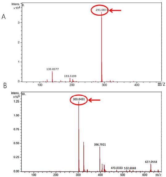 Mass spectra of compounds in flavonoid of Rosa roxburghii Tratt (FRT).