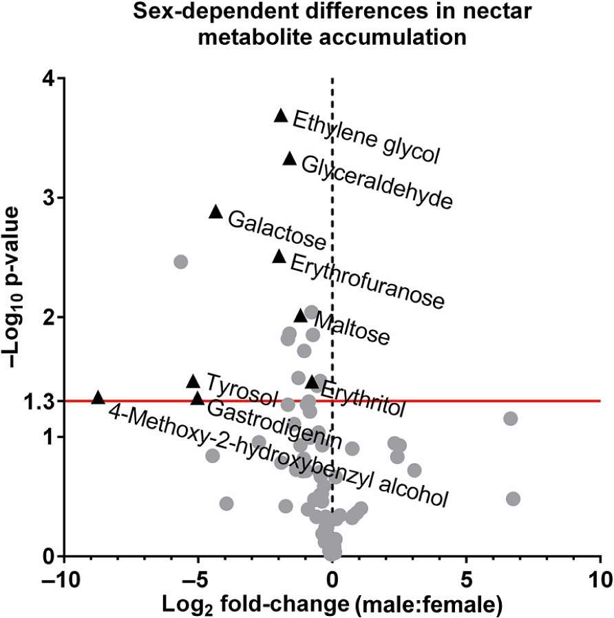 Volcano plot of the Cucurbita pepo nectar metabolome