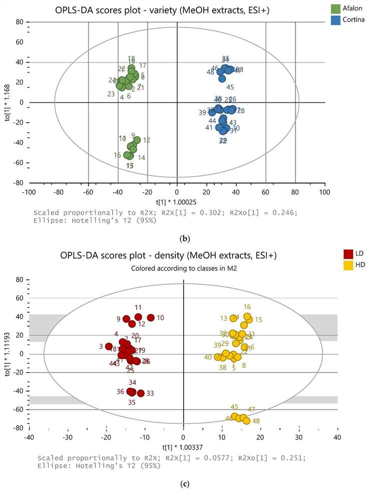 Daucus carota (Carrot) Metabolomics Analysis