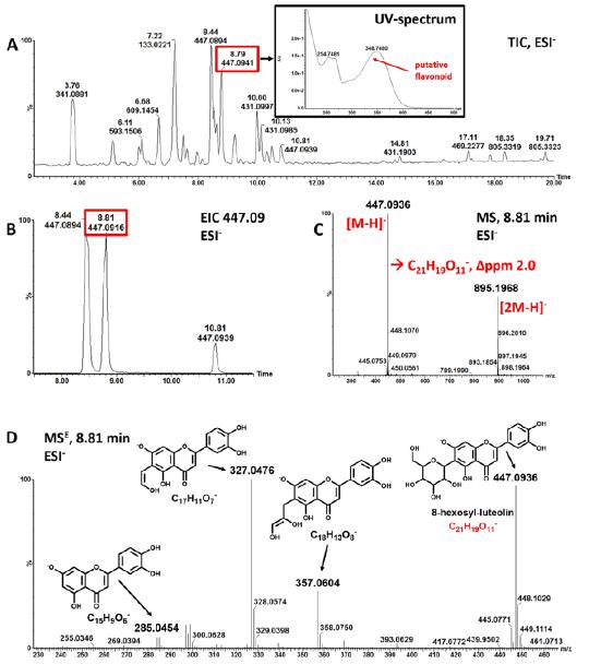 Putative identification of polyphenolic compounds from LC-MS measurements