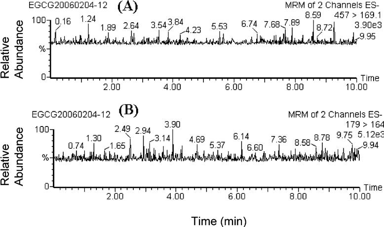 LC−tandem mass chromatogram showing the drug-free plasma extract with MRM: (A) the mass transitions were m/z 457f169 for EGCG and (B) m/z 187f164 for the internal standard (theophylline).