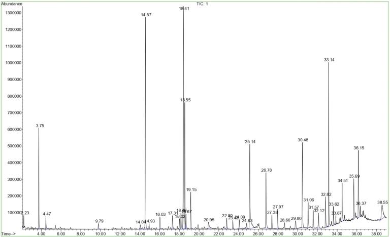 GC-MS chromatogram of fatty acids in Urtica dioica L. leaf.