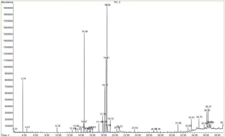 GC-MS chromatogram of fatty acids in Rosa majalis L. fruits