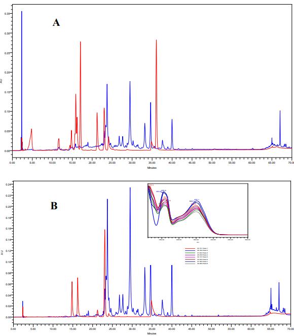 GC-MS chromatogram of fatty acids in Urtica dioica L. leaf.
