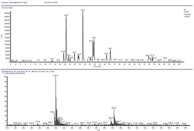 GC-MS chromatogram of fatty acids in Urtica dioica L. leaf.