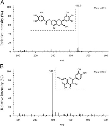Full scan mass spectra of (A) J10688 with the m/z 441.0 [M–H]– and (B) IS with the m/z 301.0 [M–H]–.