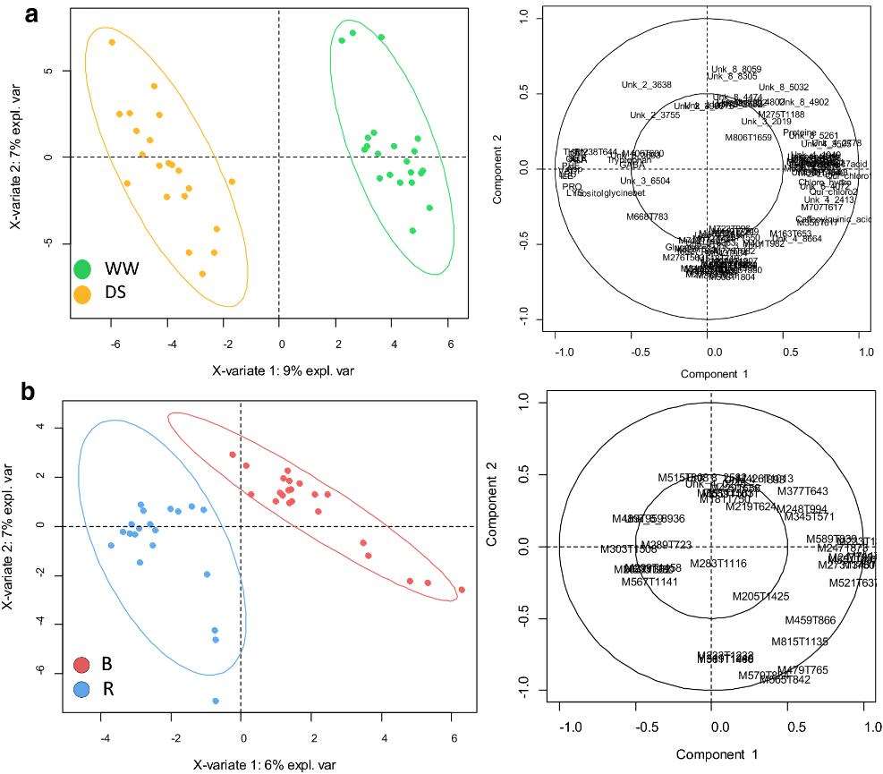 Metabolomic characterization of sunflower leaf allows discriminating genotype groups or stress levels with a minimal set of metabolic markers