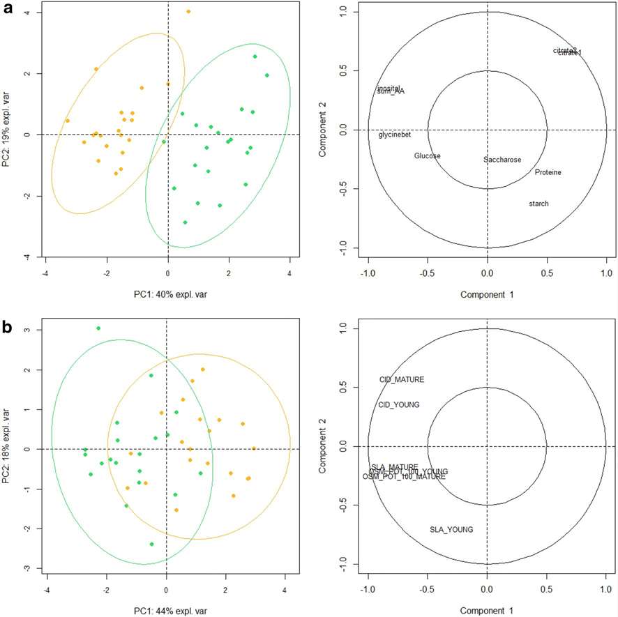 Metabolomic characterization of sunflower leaf allows discriminating genotype groups or stress levels with a minimal set of metabolic markers