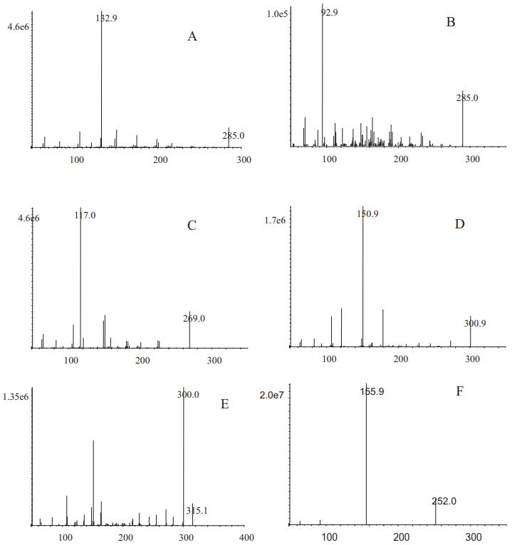 MS and product ion spectra of the compounds. Luteolin (A), kaempferol (B), apigenin (C), quercetol (D), isorhamnetin (E) and IS (F).
