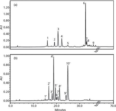 Comparison between HPLC-DAD (350) chromatograms of flavonoids from P. loefgrenii (A) and Passiflorae herba (B).