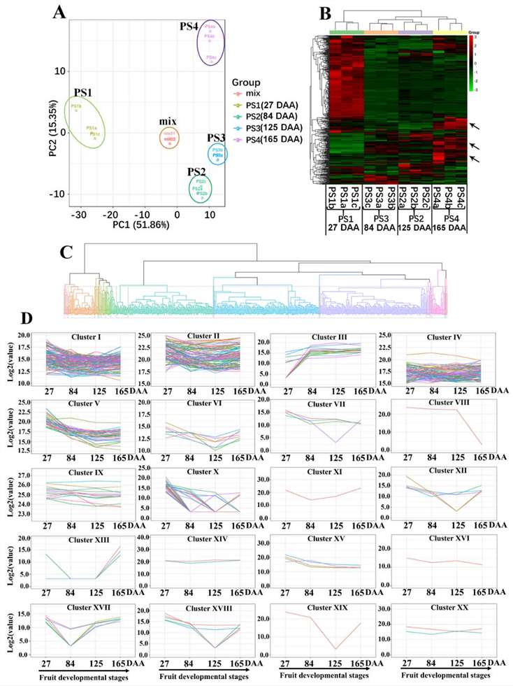 Dynamic metabolome of apple development and ripening.