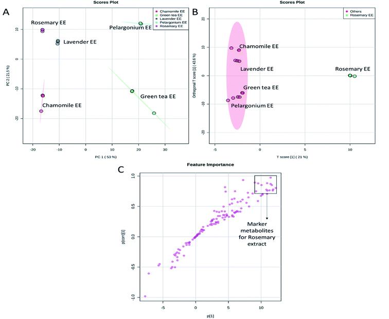 Score plots of PCA (A), OPLS-DA (B) and S-plot of OPLS-DA (C) based on the UPLC/MS data from rosemary, lavender, green tea, pelargonium and chamomile ethanoic (EE) extracts.