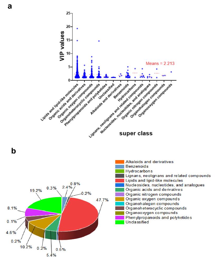 Classification of the differentially expressed metabolites and their variable importance in the projection (VIP) distribution in EG_CK in mulberry Yu-711 leaves.
