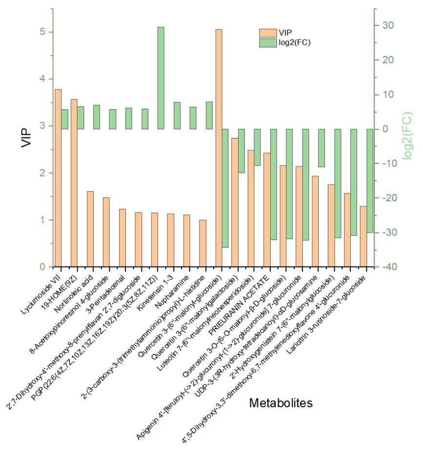 Bar graph of 20 differentially expressed metabolites in EG_CK in mulberry Yu-711 leaves.