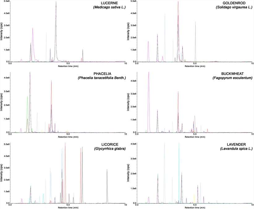 Representative chromatograms obtained for extracts of lucerne, goldenrod, phacelia, buckwheat, licorice, and lavender using the proposed SLE-SPE-UHPLC-MS/MS method