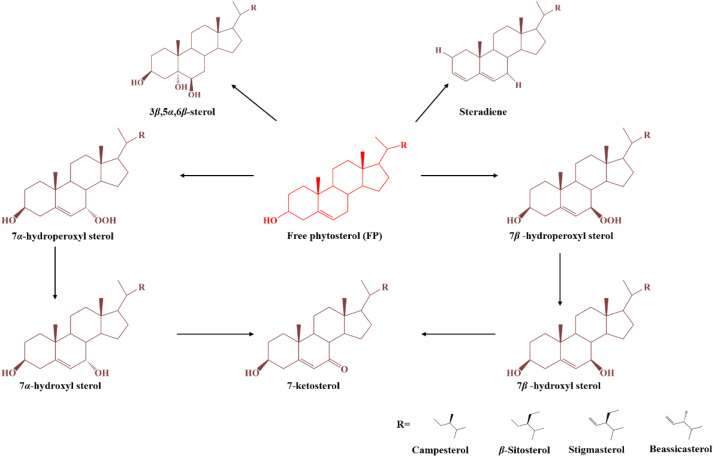 Molecular conformational change of phytosterols during the frying processes.