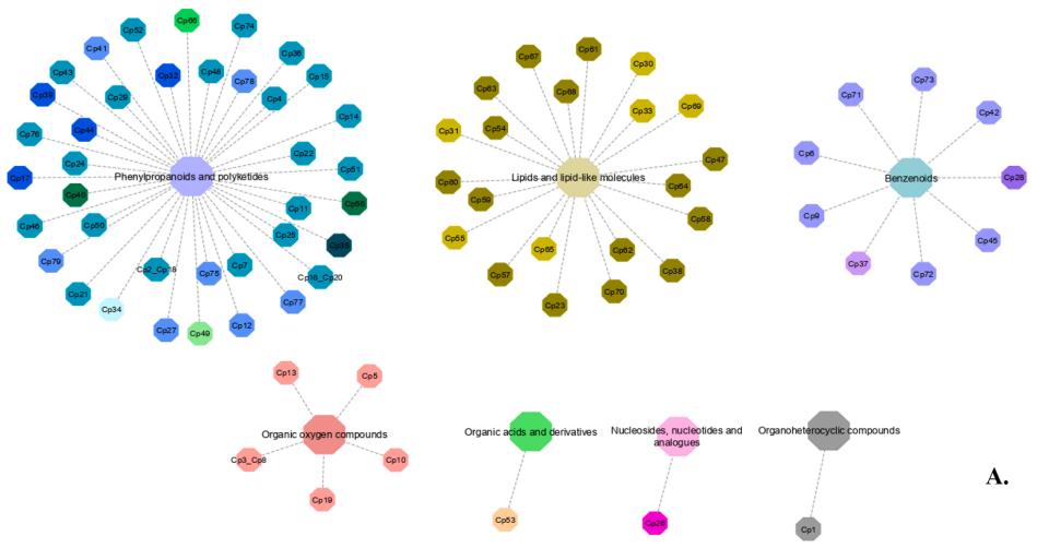 Classification of metabolites into different superclasses.