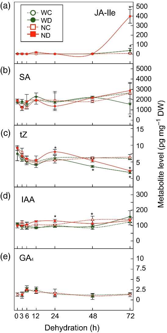 Temporal changes in plant hormone levels in WT and nced3-2 plants in response to moderate dehydration stress.
