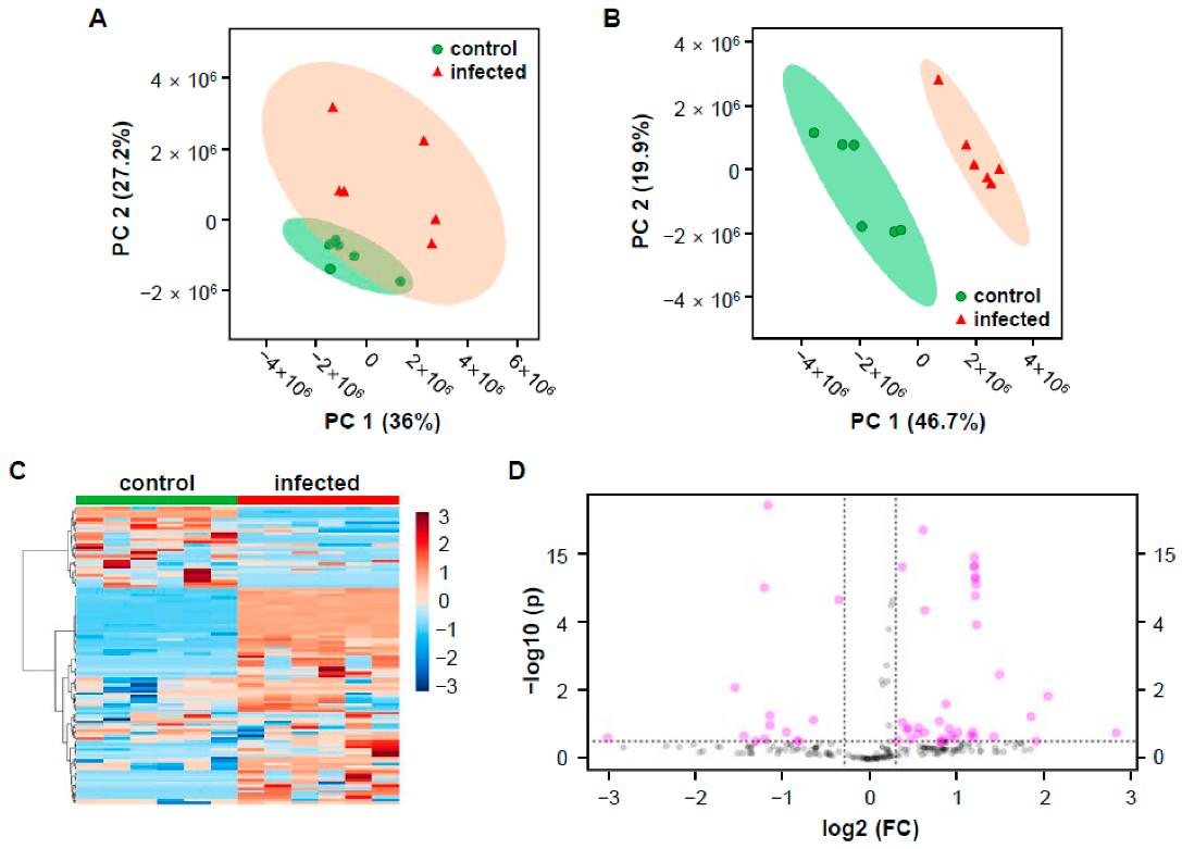 Multivariate statistical analysis of control and infected rice groups based on the mass features that generated by MZmine 2.53.