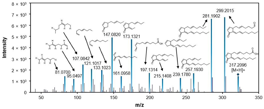 LC-MS/MS fragmentation pattern of 15-deoxy-Δ12,14-prostaglandin J2.