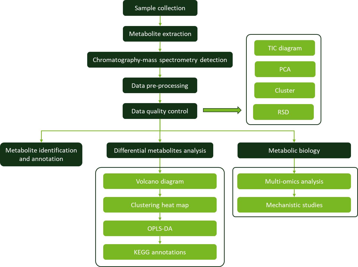 Workflow for Plant Metabolomics Service