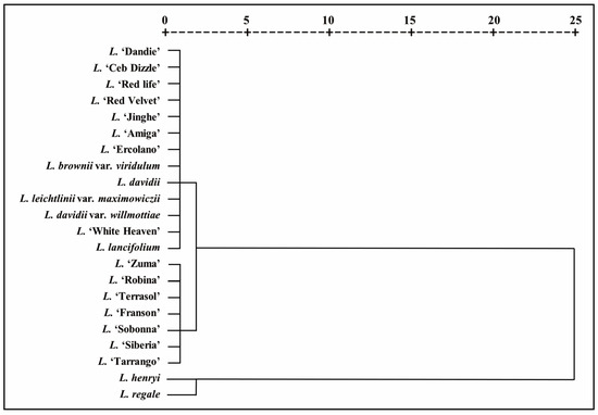 Dendrogram plot of hierarchical cluster analysis of 22 Lilium species based on the TPC, TFC and antioxidant properties.