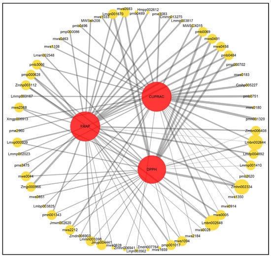 Network diagram between antioxidant capacity and metabolites.