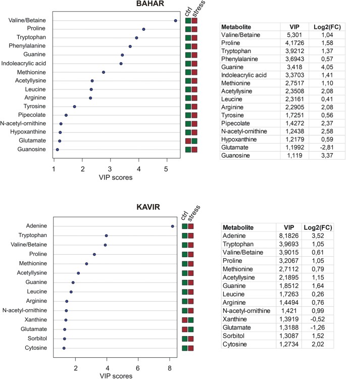 Important features identified by PLS-DA through MetaboAnalyst web-based platform