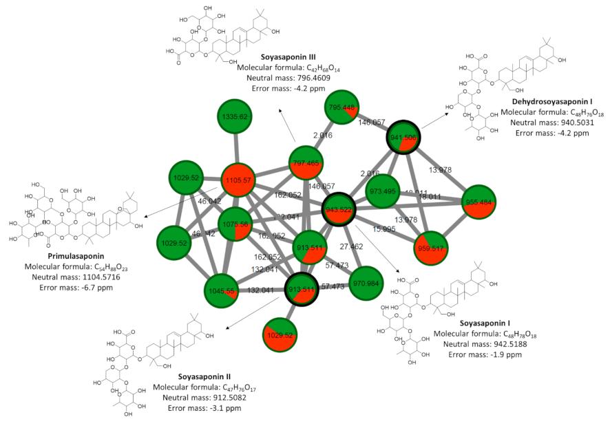 Cluster of terpenes containing triterpene saponins putatively characterized by molecular network obtained from MS/MS data from control plants and inoculated plants with P.