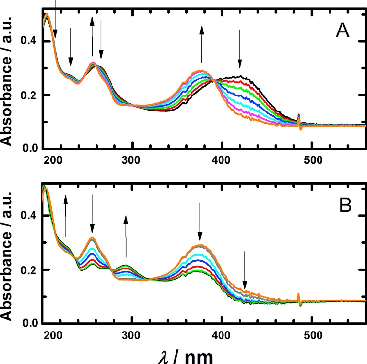 The in situ spectroelectrochemistry of 6 × 10−4 mol l−1 rhamnazin in solution of Britton Robinson buffer and 40% ethanol (v/v), pH = 9.0, (A) at the potential behind the oxidation wave I, and (B) at the potential of the oxidation wave II.