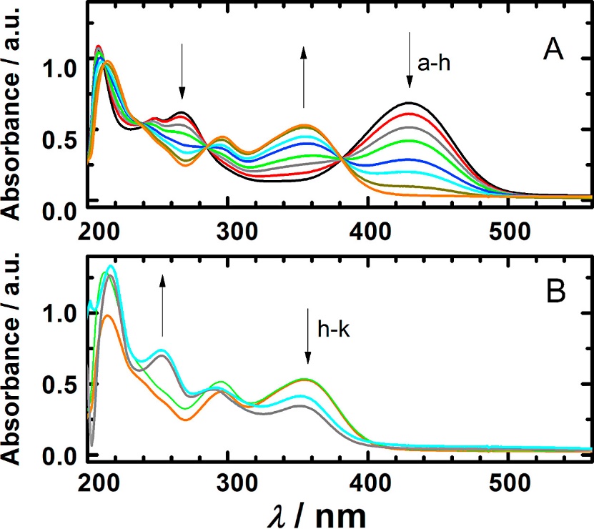 Absorption spectra of 3.6 × 10−5 mol l−1 rhamnazin in 0.1 mol l−1 KCl and 3.6 × 10−3 mol l−1 KOH (A) during exposure to atmospheric oxygen for (a) 0, (b) 360, (c) 560, (d) 760, (e) 1160, (f) 1560, (g) 2520, (h) 4520 s, and (B) (h) 4520 s, (i) 92 min, (j) 122 h and (k) 124 h.