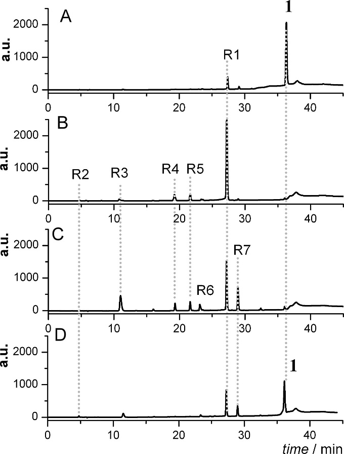 HPLC-DAD chromatogram of a solution of 1 in the absence of oxygen (A) before the electrolysis and (B) after the electrolysis. (C) and (D): chromatograms of solutions collected during and before electrolysis and exposed to the air oxygen, respectively.