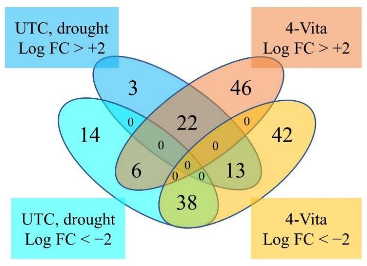 Venn diagram showing up- and downaccumulated metabolites under either well-watered or drought conditions