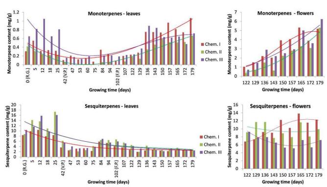 Evolution of total monoterpene and sesquiterpene content in leaves and flowers during the growth of plants from chemotypes I, II, and III.