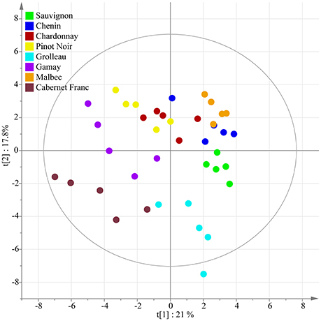 Unsupervised classification using PCA.