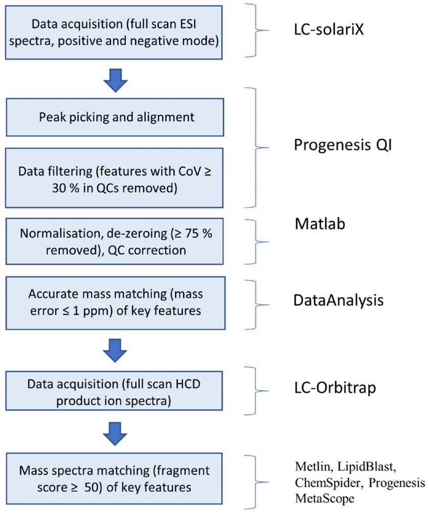 Data analysis workflow for the identification of key features in mass spectrometric data.