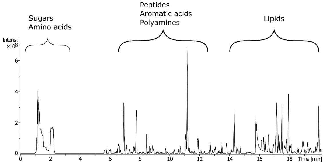 Characteristic base peak ion chromatogram for an LNE sample obtained using a T3 column coupled to high-resolution mass spectrometry (LC–HRMS) to allow the retention and separation of metabolites with a broad range of polarities.