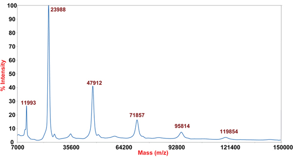 MALDI-TOF-MS Intact Protein Analysis