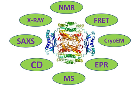 Protein Structure Determination