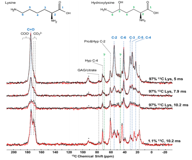 13C NMR Spectra Service