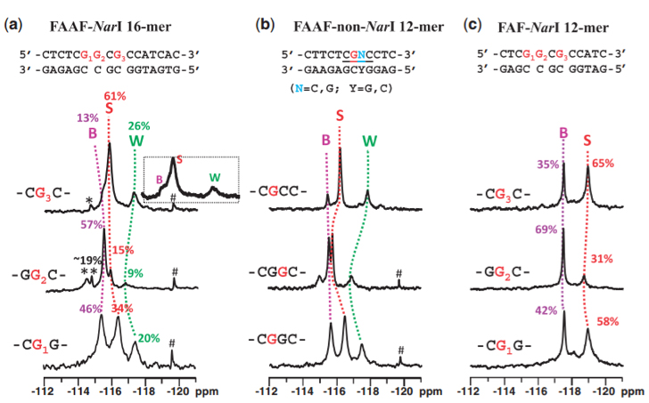 19F NMR Spectra Service