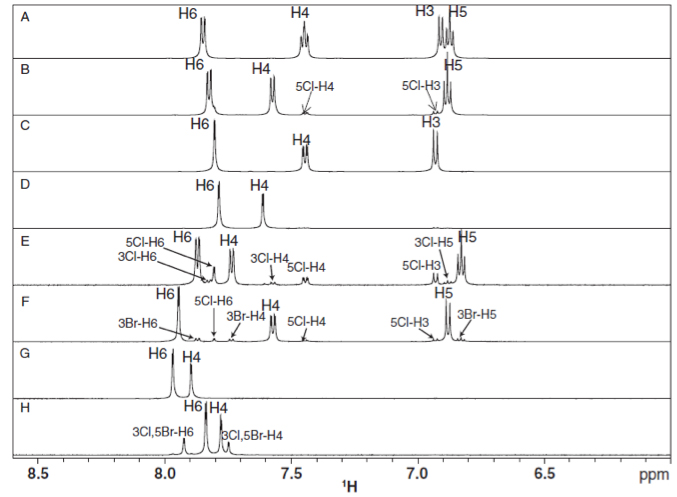 1H NMR Spectra Service