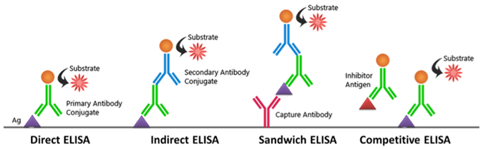 Enzyme-linked immunosorbent assay (ELISA) Service